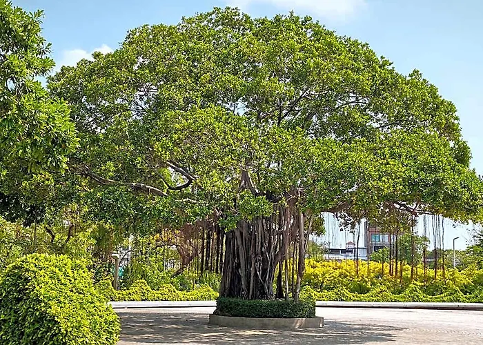 Victory Park - Maya Vandrarhem Bangkok